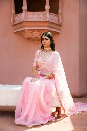Light Pink Organza Badla Saree & Blouse