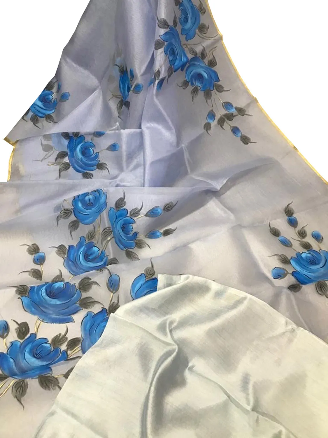Stunning Off White Hand Painted Organza Saree with Zari Border